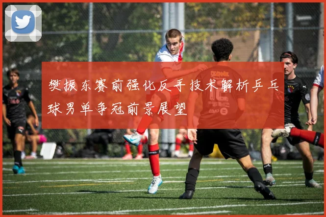 樊振东赛前强化反手技术解析乒乓球男单争冠前景展望